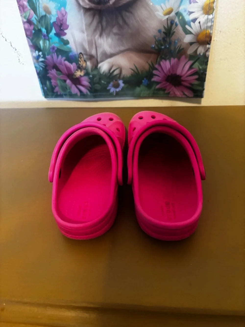 CROCS Kids Hot Pink Vented Clog Sandals